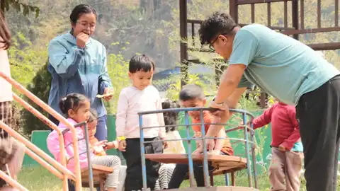 picnic 