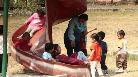 picnic 